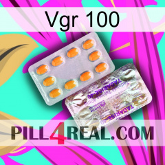 Vgr 100 new12